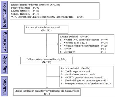 Acceptability of Drugs in the Treatment of Unresectable/Metastatic BRAF V600-Mutant Melanoma: A Systematic Review and Network Meta-Analysis
